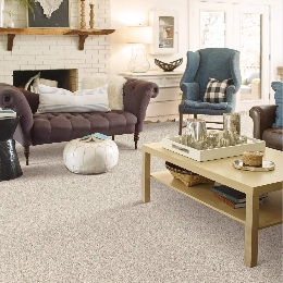 Carpet | Carpet Warehouse