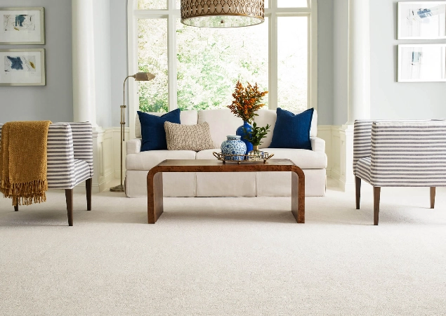 neutral colored carpet in living room | Carpet Warehouse
