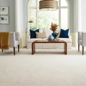 Carpet flooring | Carpet Warehouse