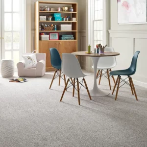 Carpet flooring | Carpet Warehouse